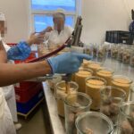 industria alimentaria