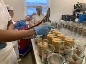 industria alimentaria